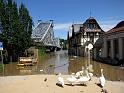 Hochwasser (131)